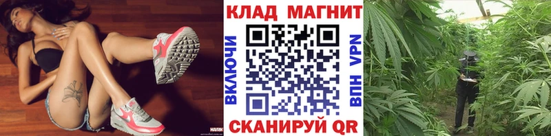 Купить наркотики цена Шимановск Гашиш Кодеин Галлюциногенные грибы Меф Марихуана