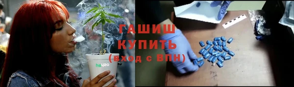 сатива Абинск