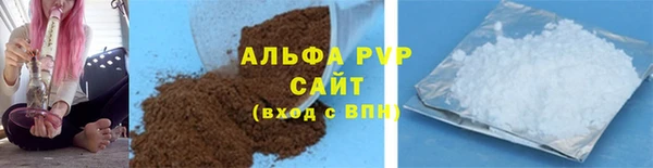 сатива Абинск