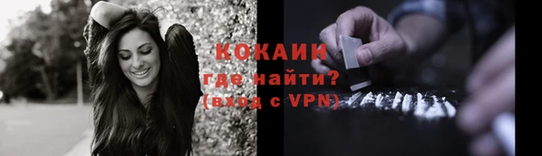 сатива Абинск