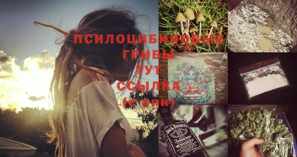 сатива Абинск