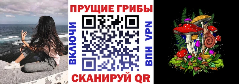Псилоцибиновые грибы мухоморы shop как зайти Шимановск гидра сайт